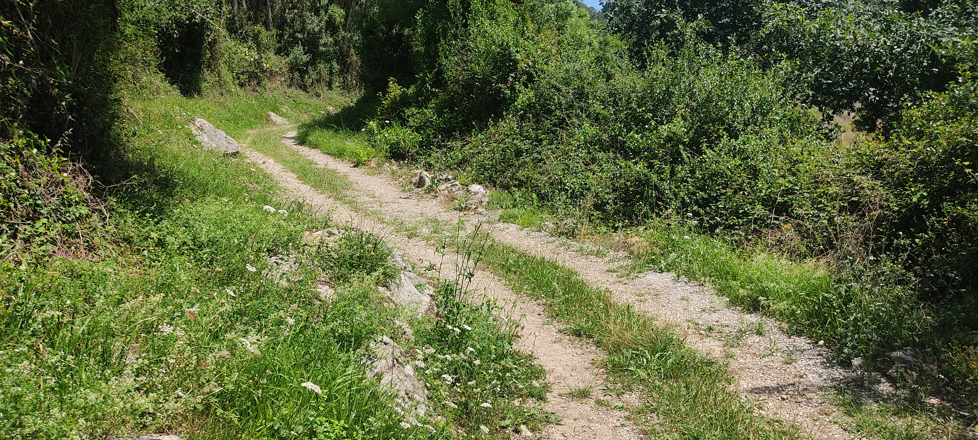 Foto del camino