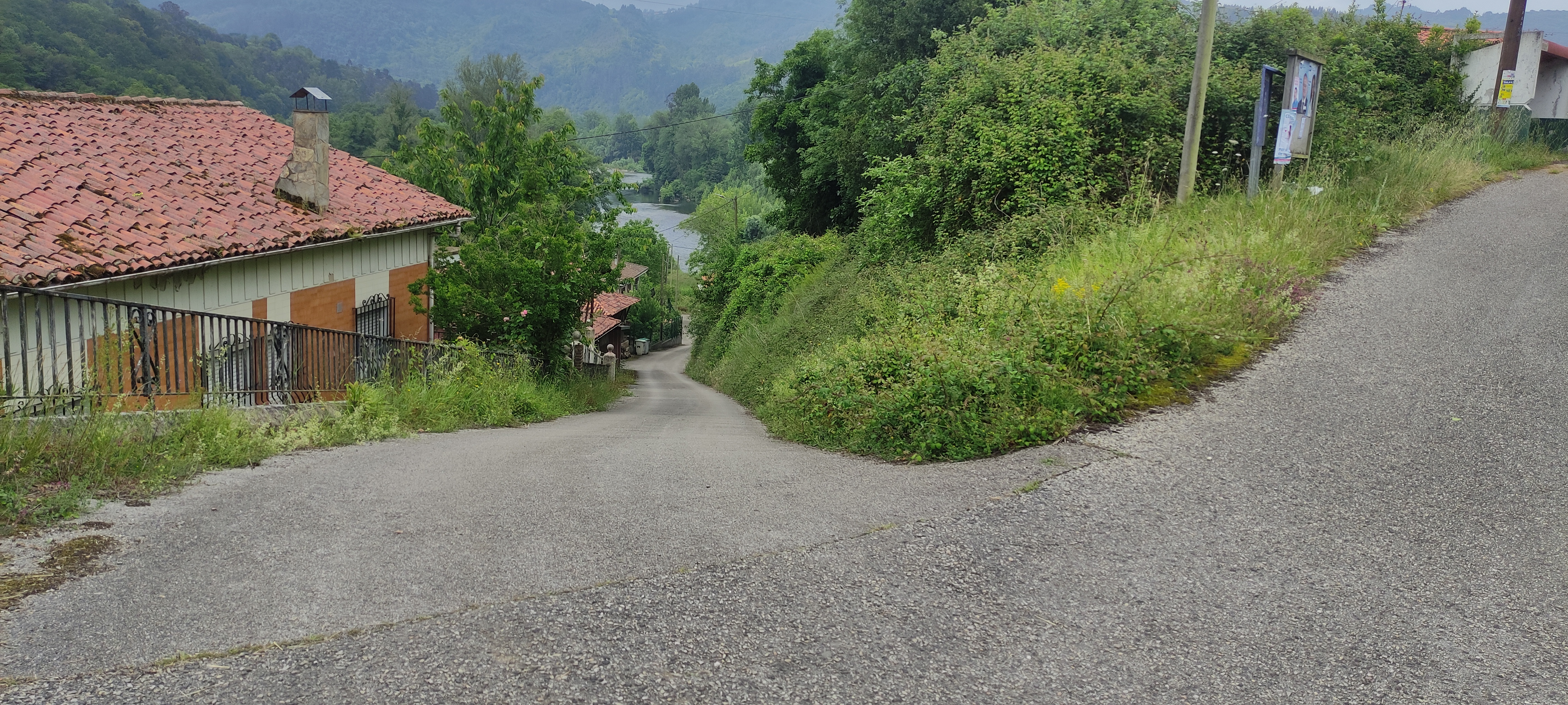 Foto del camino