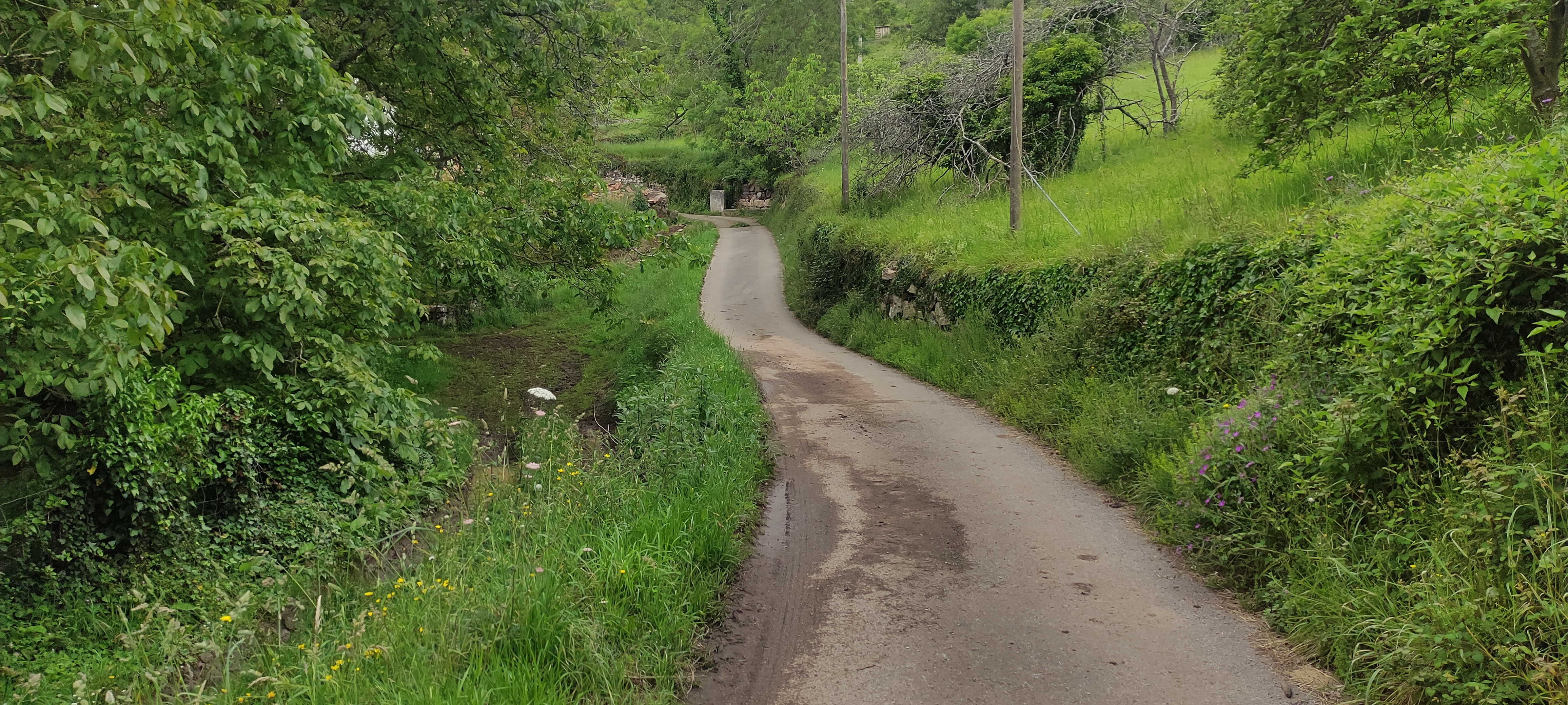 Foto del camino