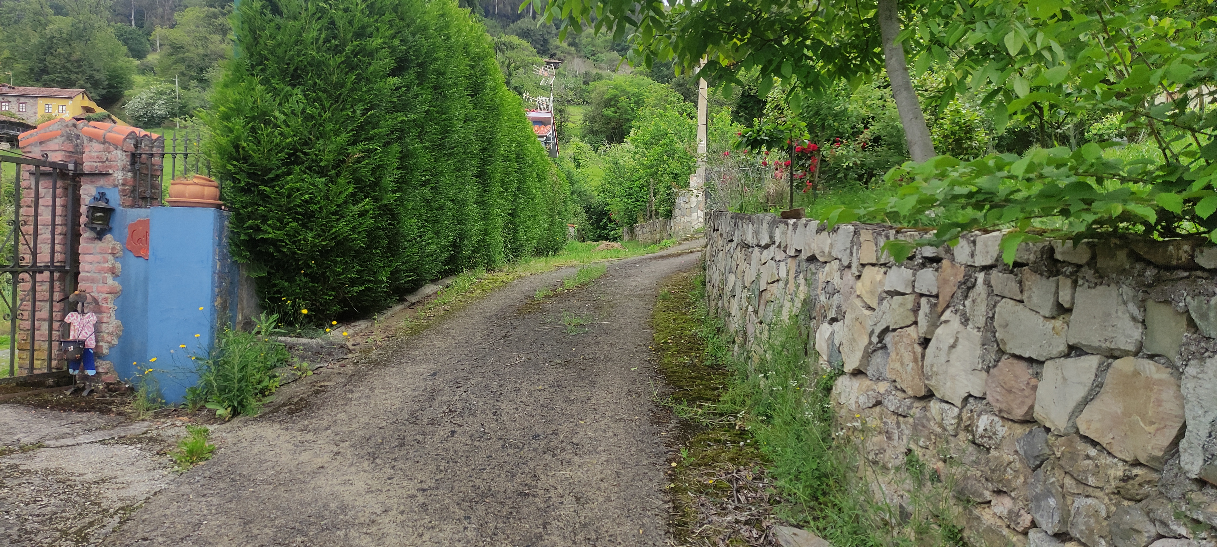 Foto del camino