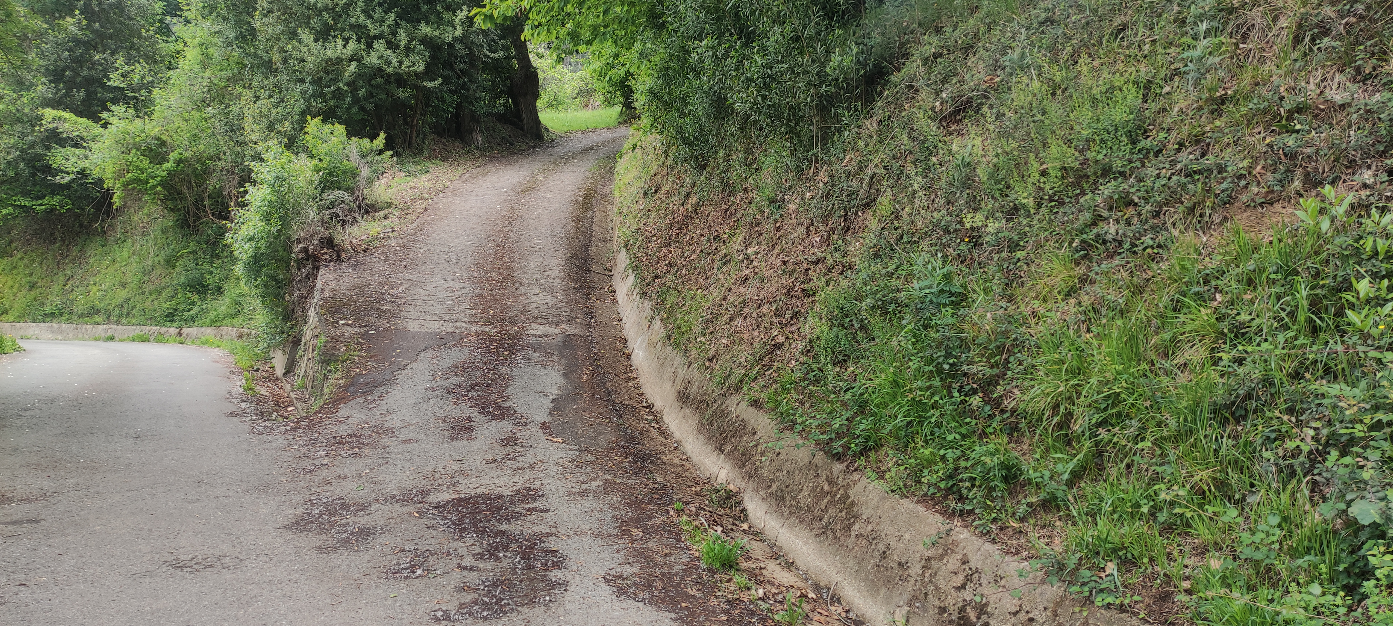 Foto del camino