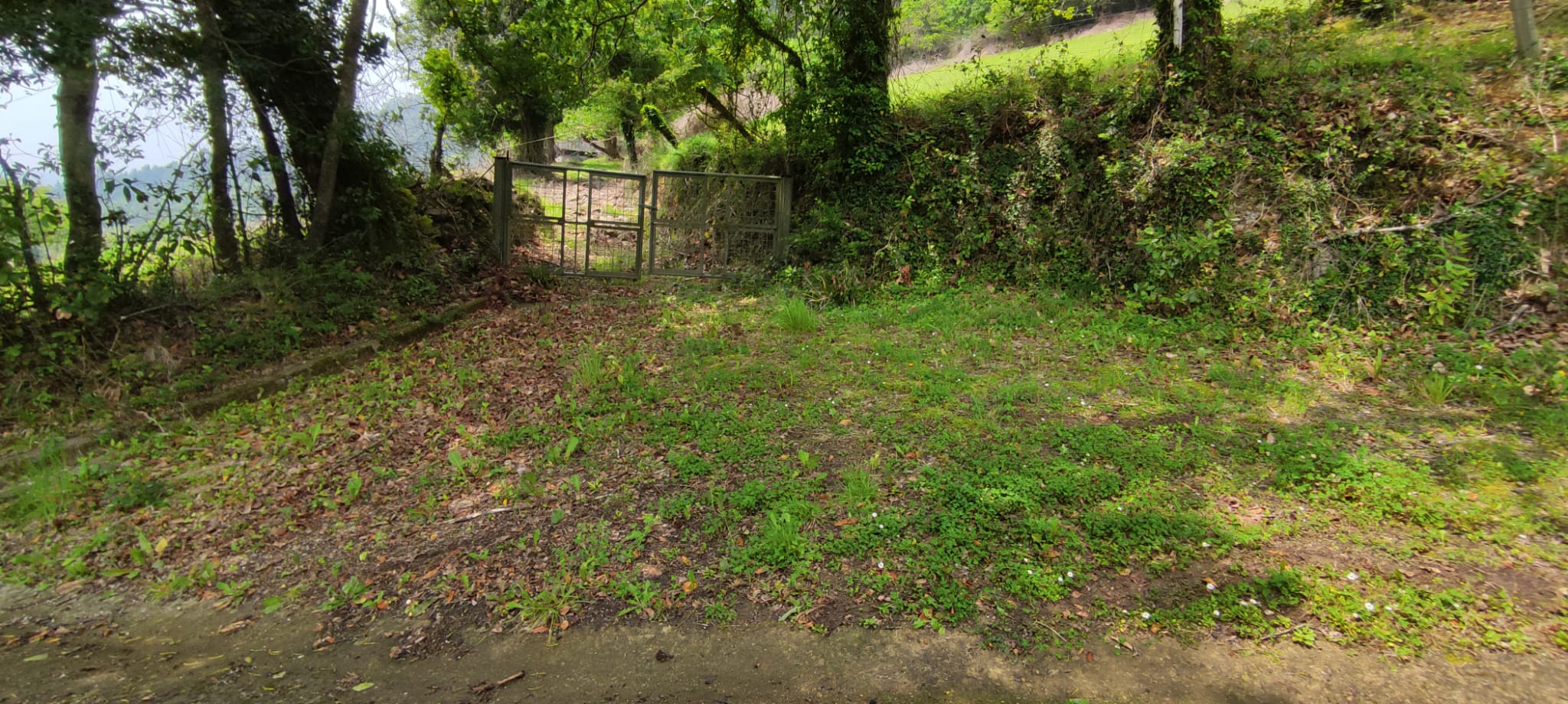 Foto del camino