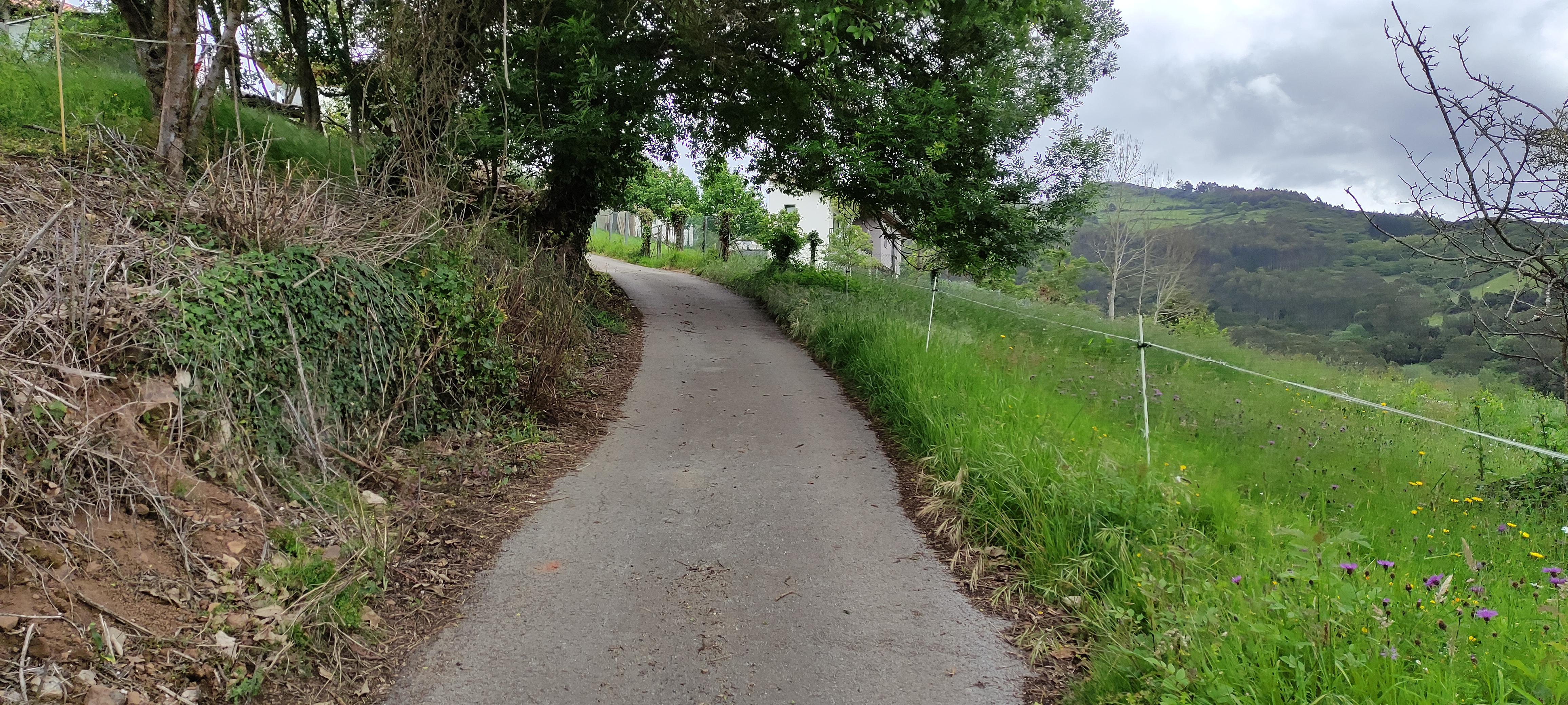 Foto del camino