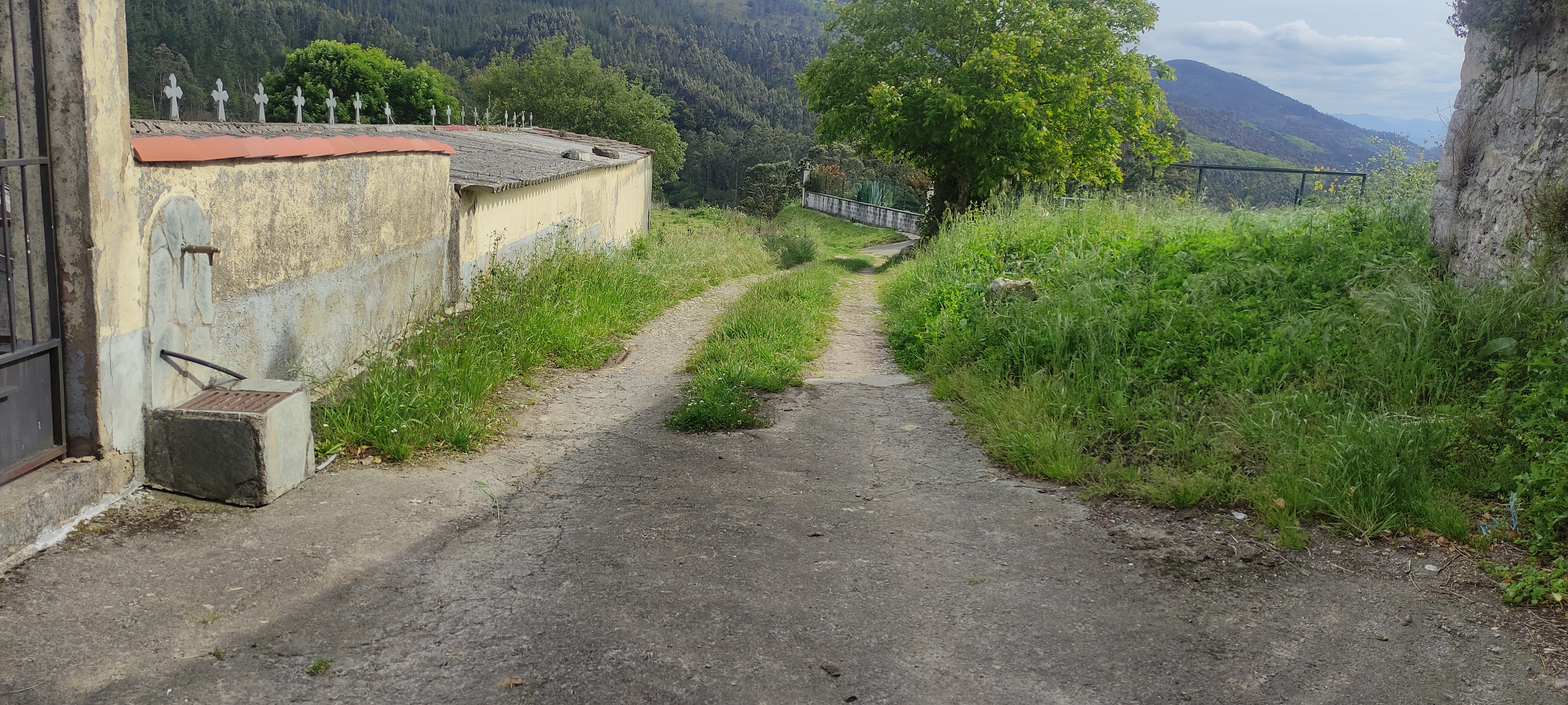 Foto del camino