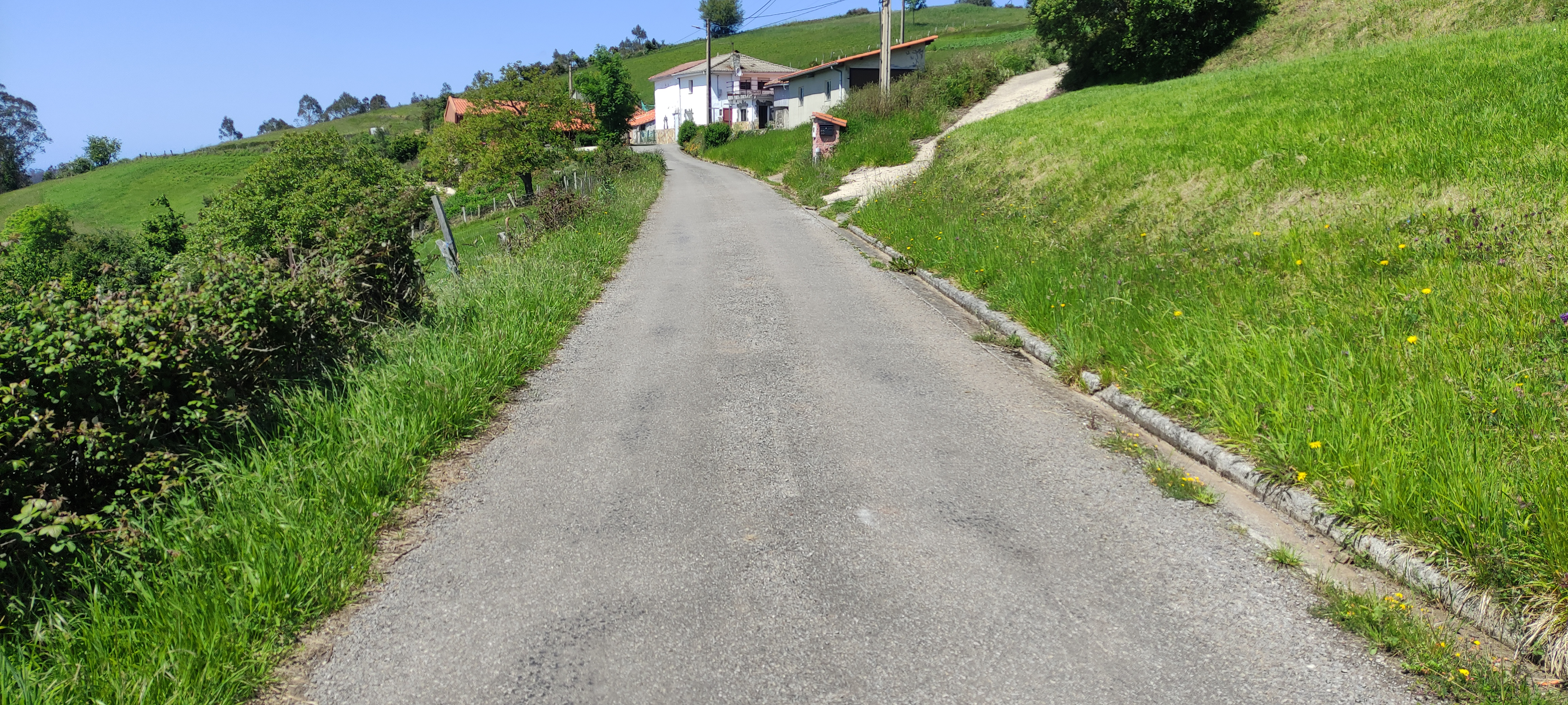 Foto del camino