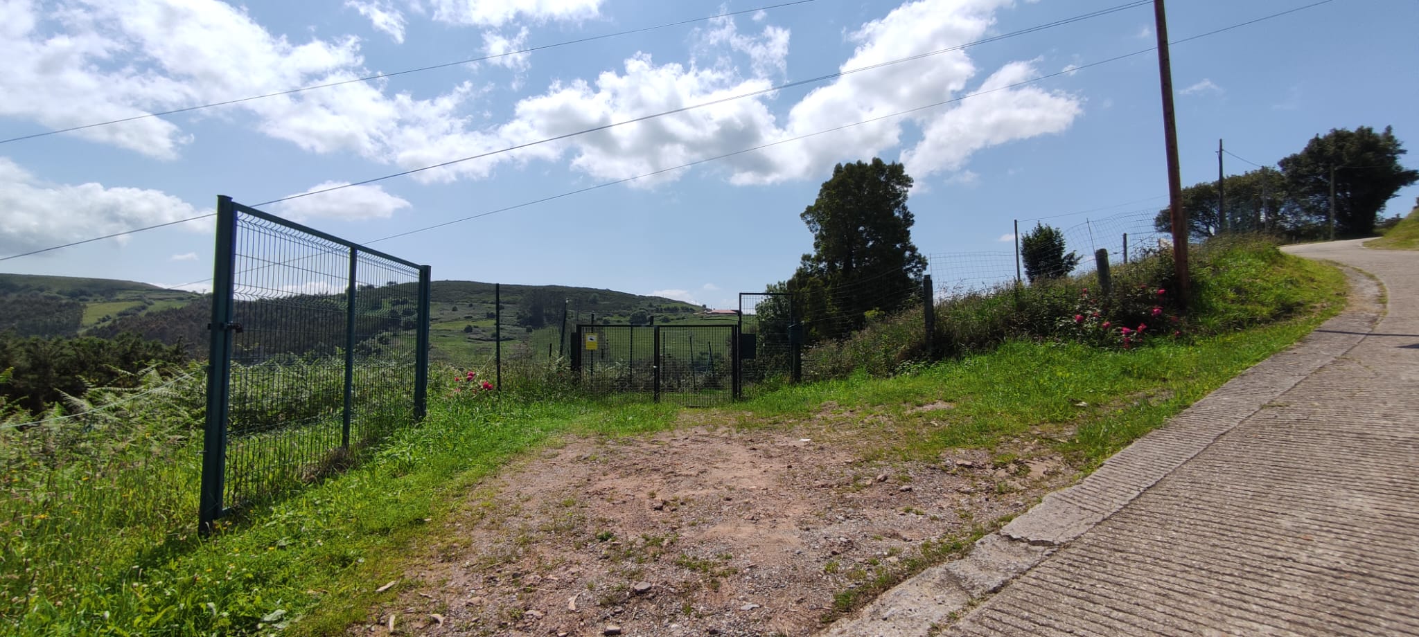 Foto del camino