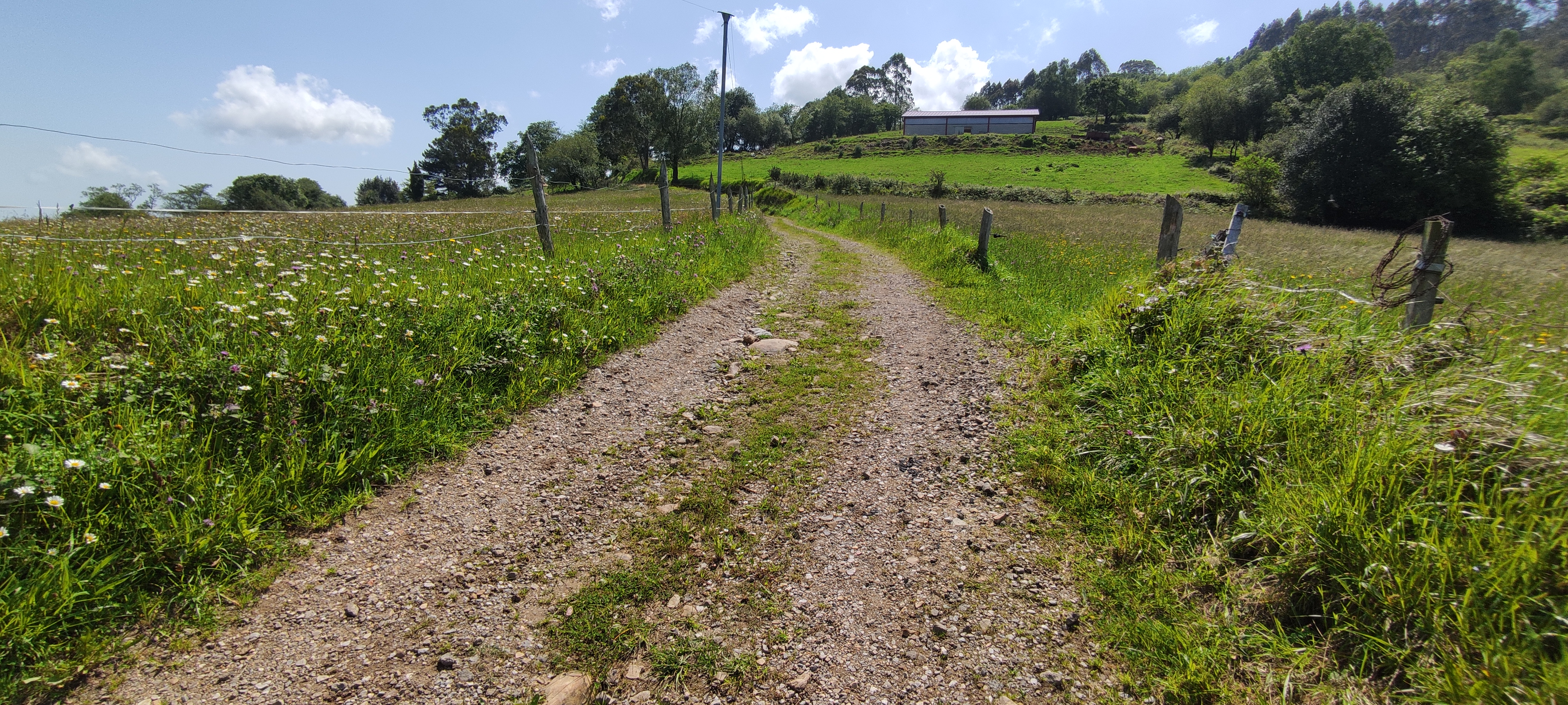 Foto del camino