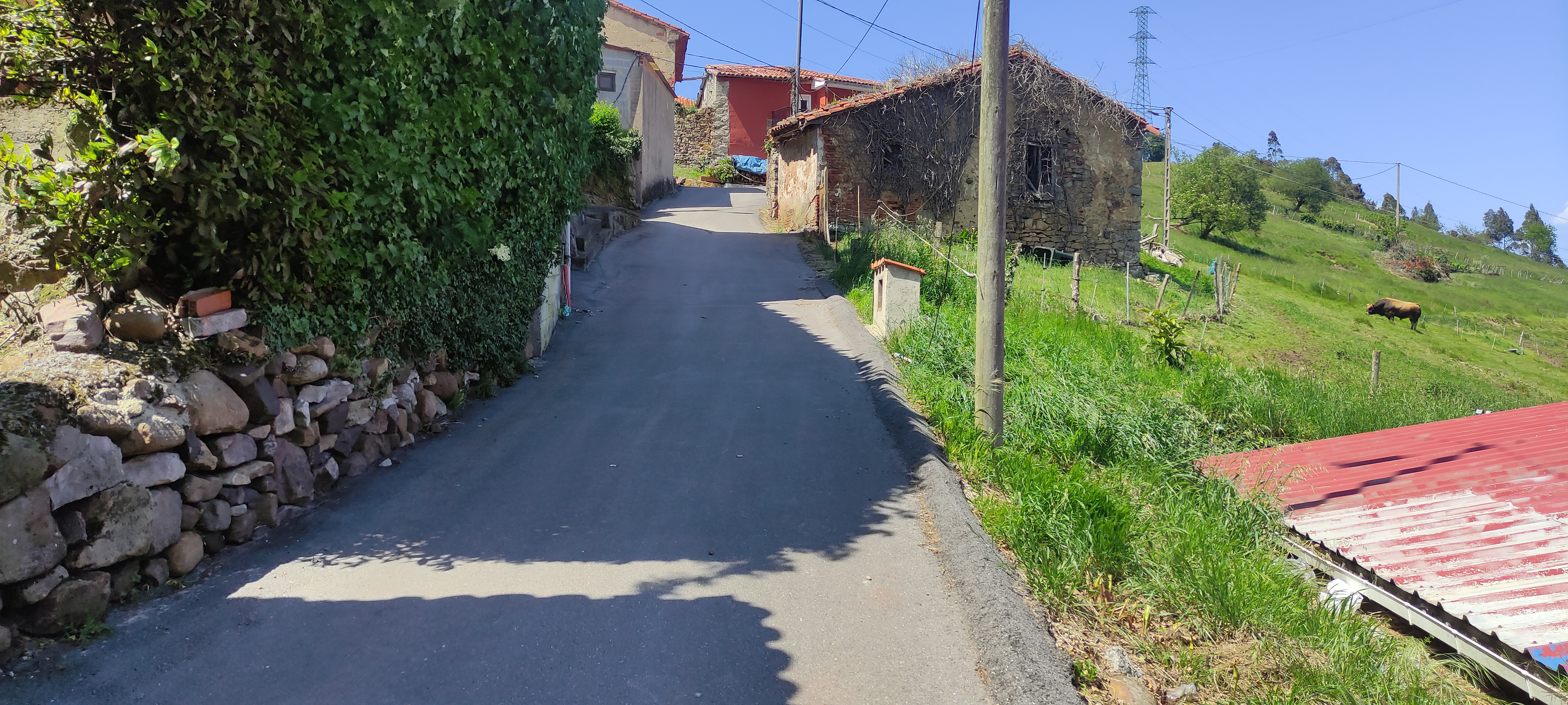 Foto del camino