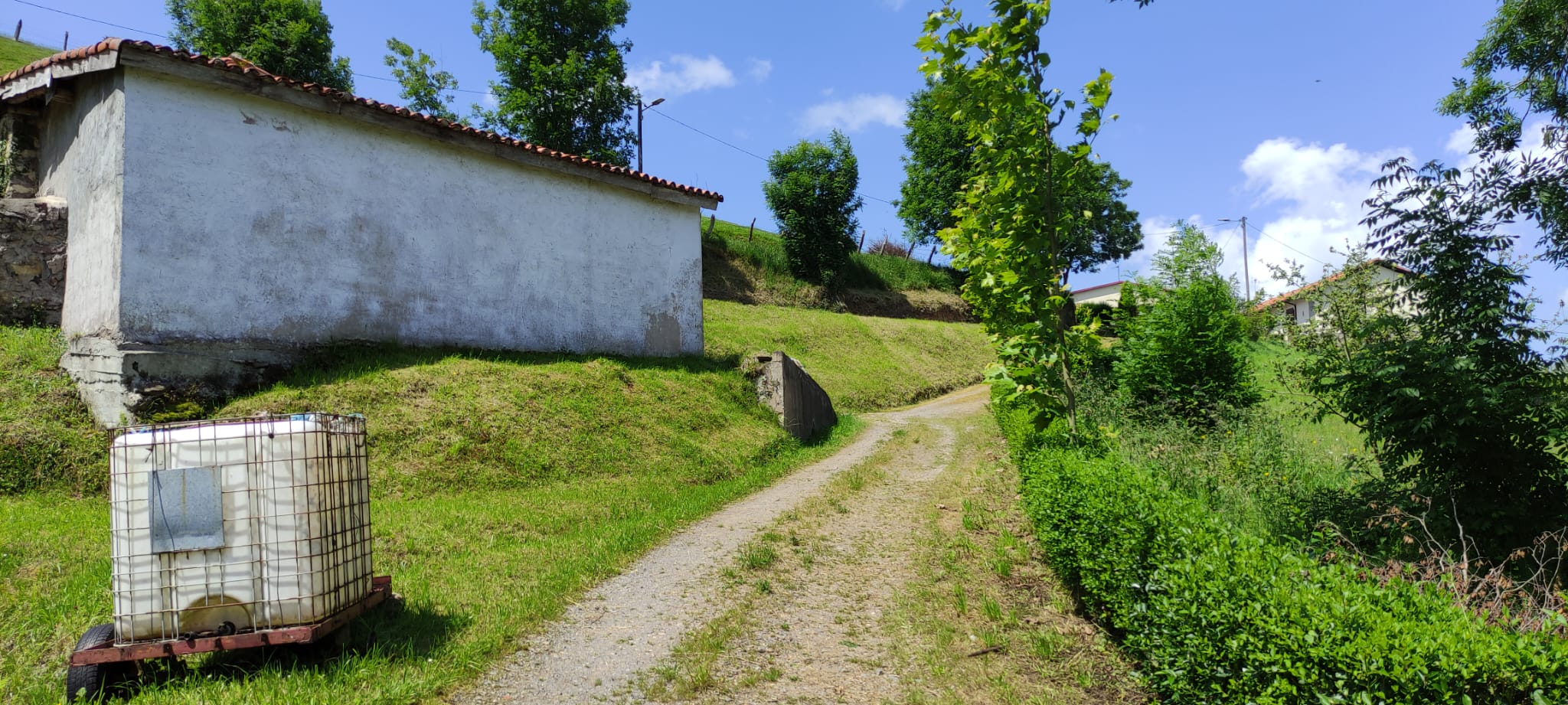 Foto del camino