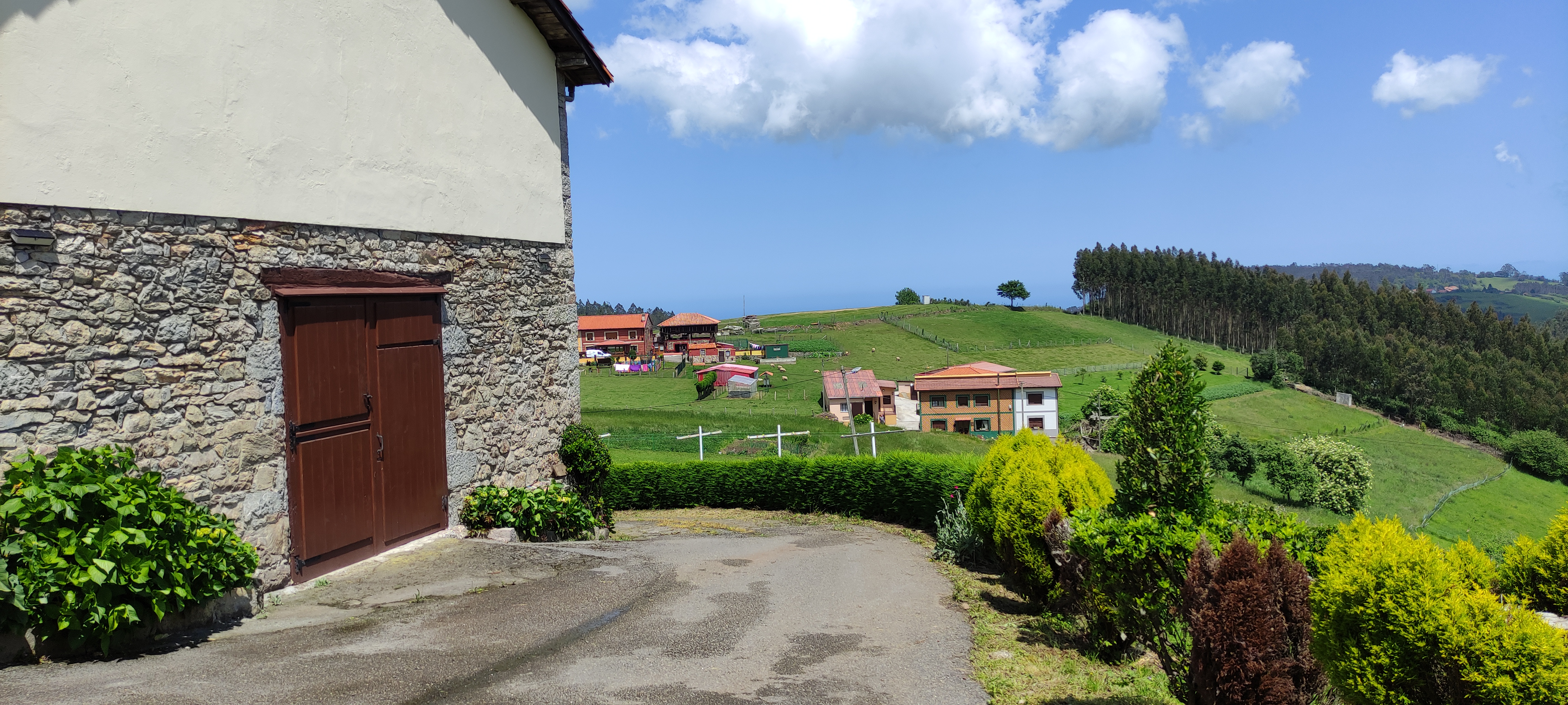 Foto del camino