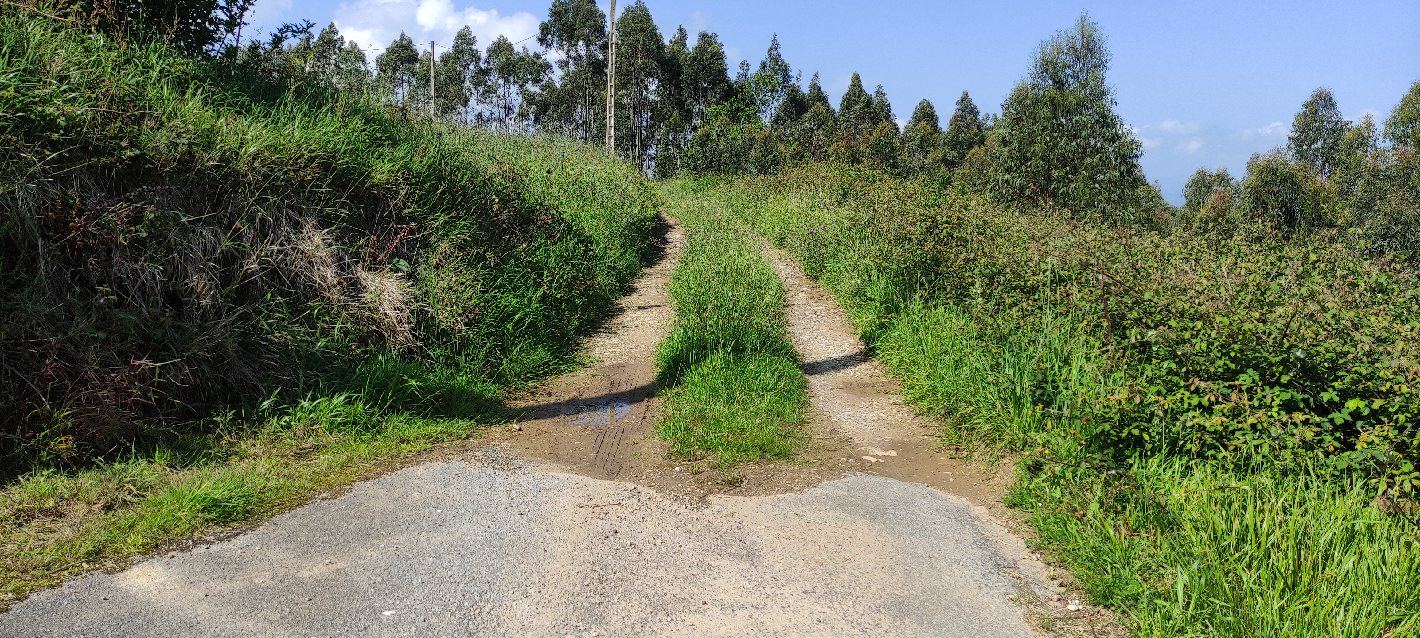 Foto del camino